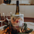 Porta Garrafa de Bebidas- Molde de Gelo3