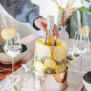 Porta Garrafa de Bebidas- Molde de Gelo6