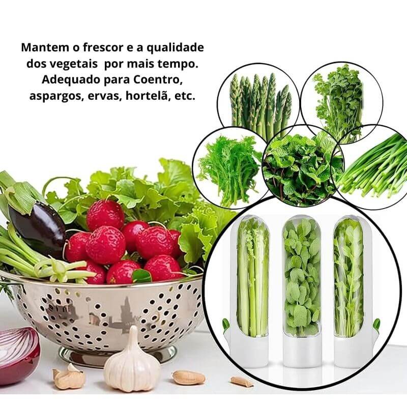 Garrafa de Armazenamento para Vegetais e Ervas