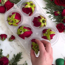 Forma para Gelo Esférico - Grande Dimensão