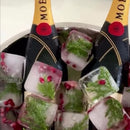 Forma para Gelo - Grande Dimensões