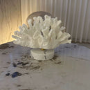 Escultura de Coral Artificial com Base em Mármore