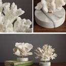 Escultura de Coral Artificial com Base em Mármore
