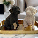 Estatueta  Decorativa de Cachorro Texturizada